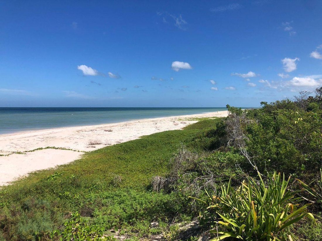 Land in Sisal, Yucatan, Mexico 1 - 18298635