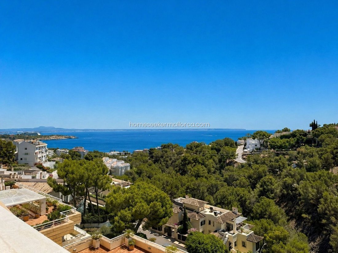 Apartment in Cas Catala, Calvia, Balearic Islands 5 - 18299856