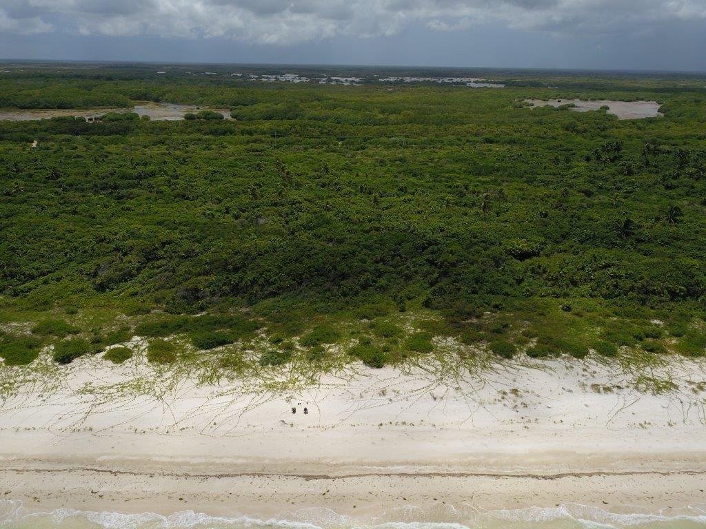 Land in Sisal, Yucatan, Mexico 2 - 18298620