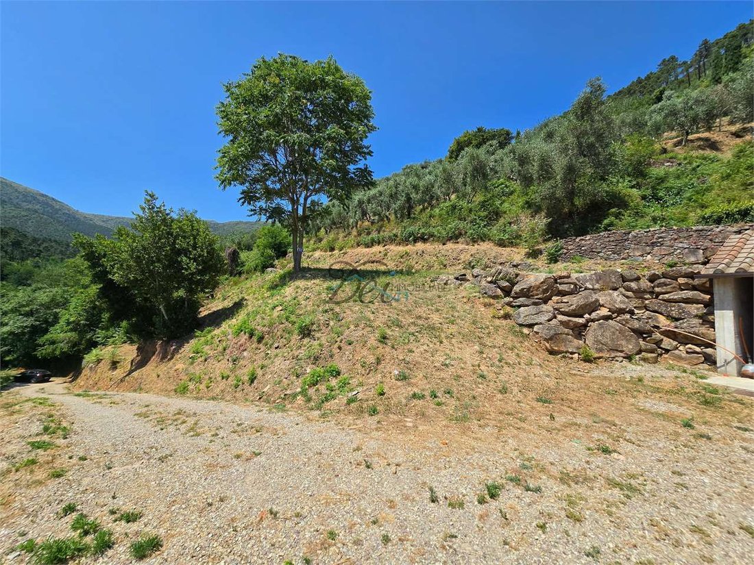 Estate in Compitese, Capannori, Tuscany 5 - 18300690