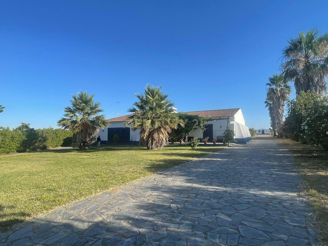 Villa à Reguengos de Monsaraz, District d'Évora, Portugal 2 - 18230517