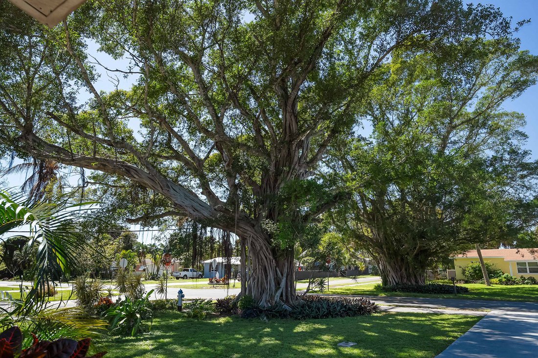 House in Stuart, Florida, United States 3 - 18298851