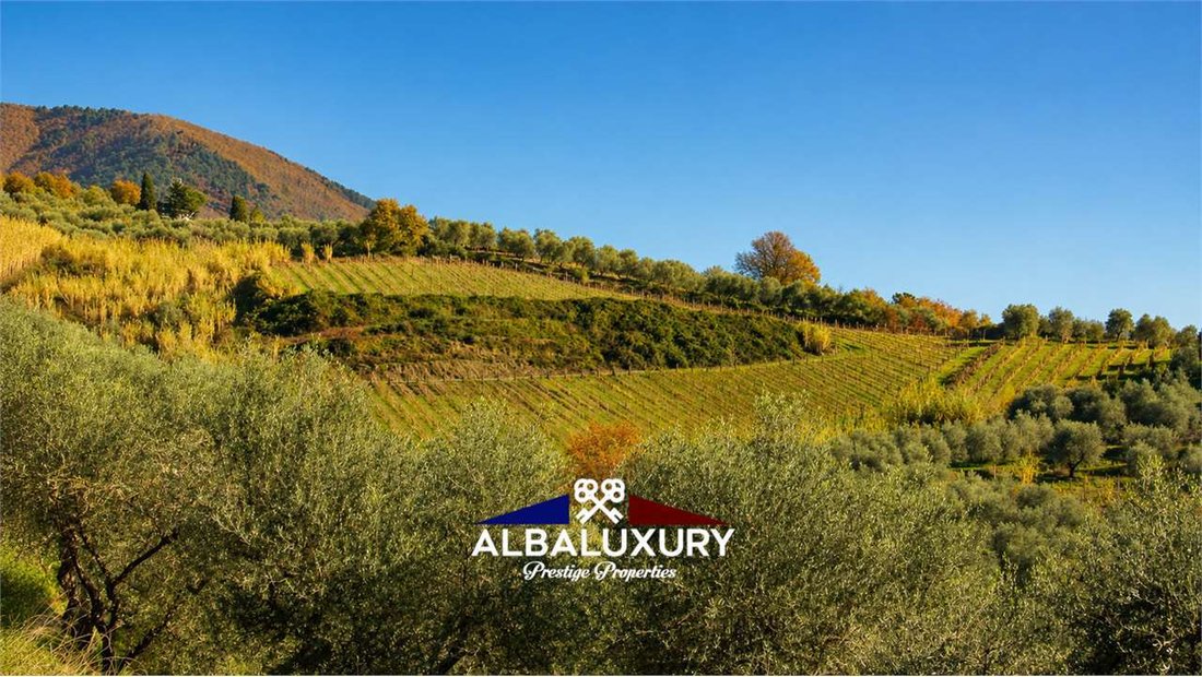 Farm Ranch in Historic Center, Lucca, Tuscany 2 - 18300982