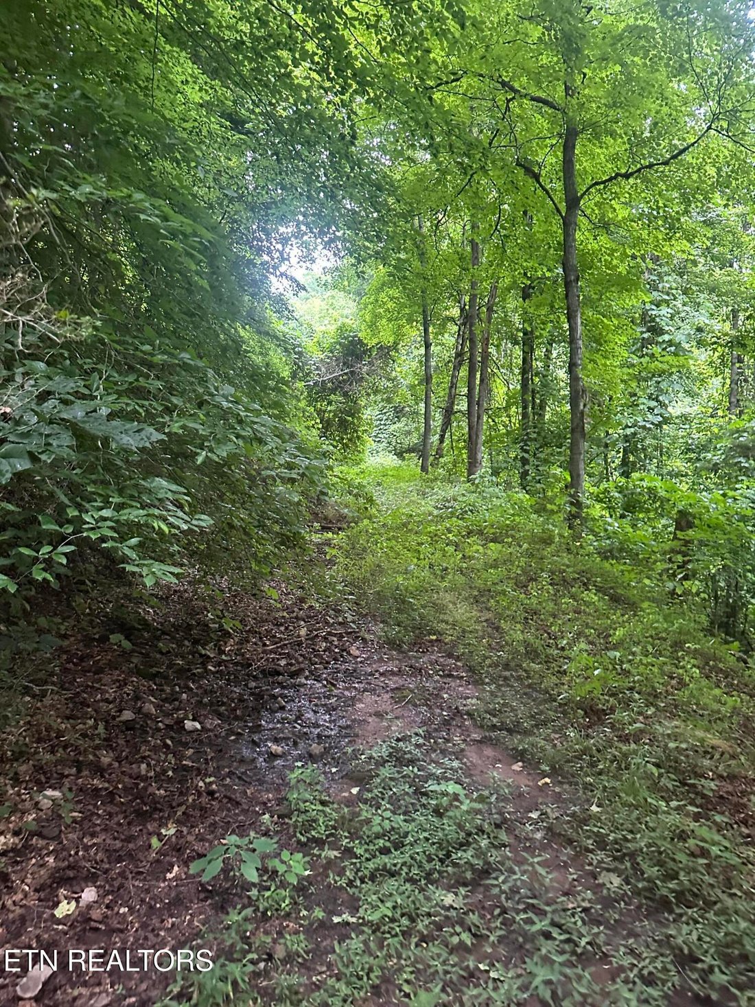 Land in Etowah, Tennessee, United States 5 - 18300267