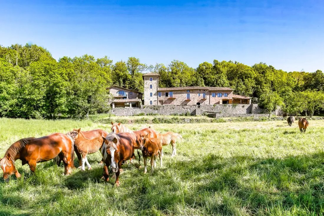 Finca in Camprodon, Catalonia, Spain 5 - 18301666