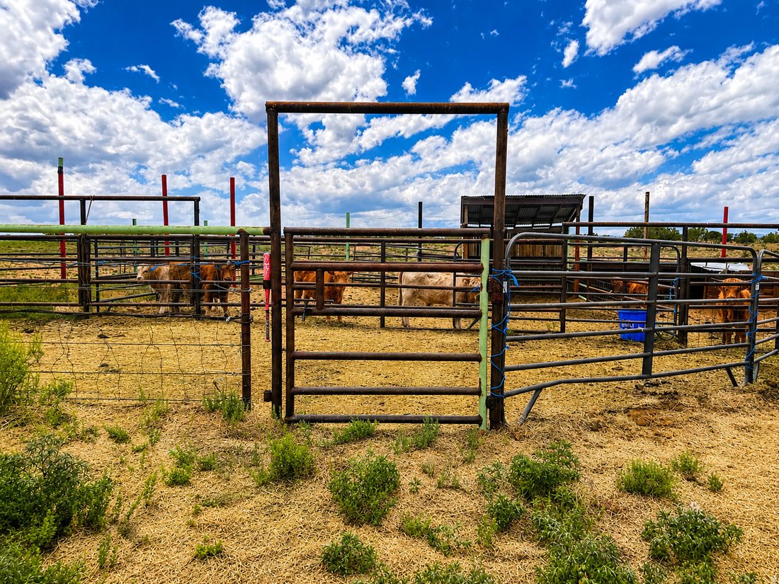 House in Bluebell, Utah, United States 4 - 18301685