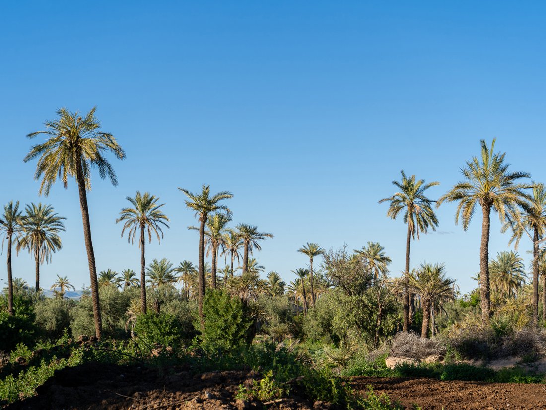 Land in Medina, Marrakesh-Safi, Morocco 5 - 18298956