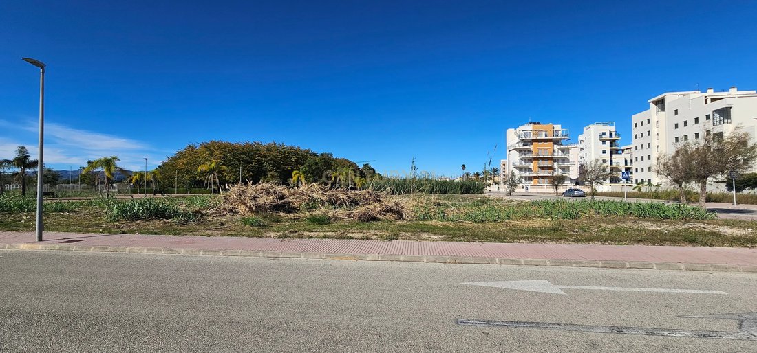 Land in Piles, Valencian Community, Spain 4 - 16788731