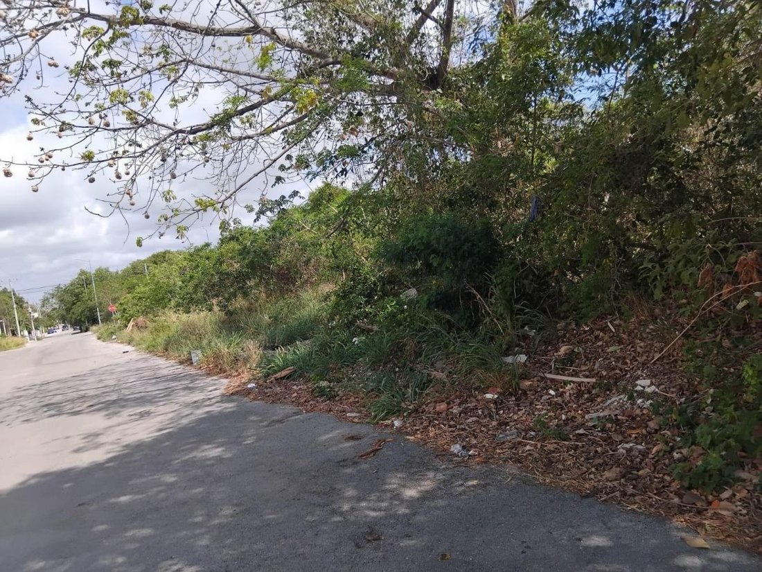 Land in Playa del Carmen, Quintana Roo, Mexico 5 - 18299290
