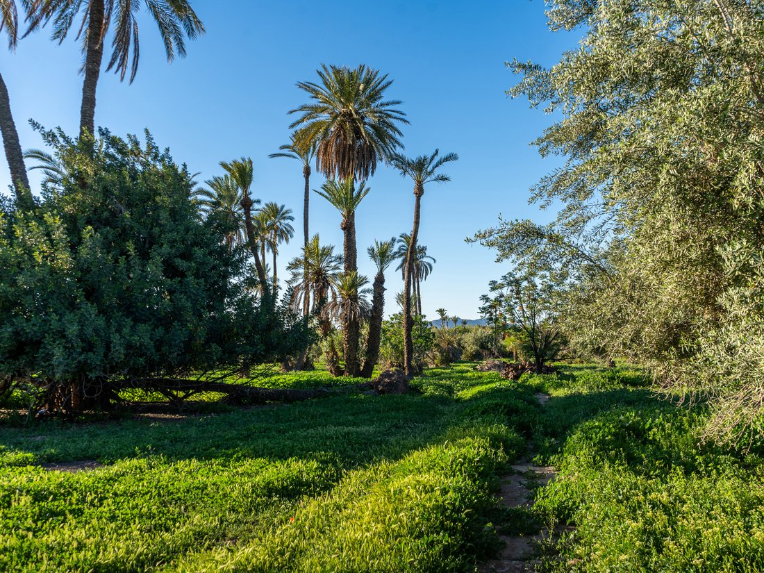 Land in Medina, Marrakesh-Safi, Morocco 4 - 18298956