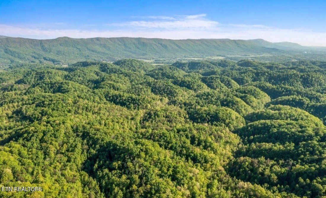 Land in Etowah, Tennessee, United States 3 - 18300267