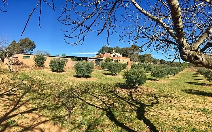 House in Cistella, Catalonia, Spain 1 - 18302382