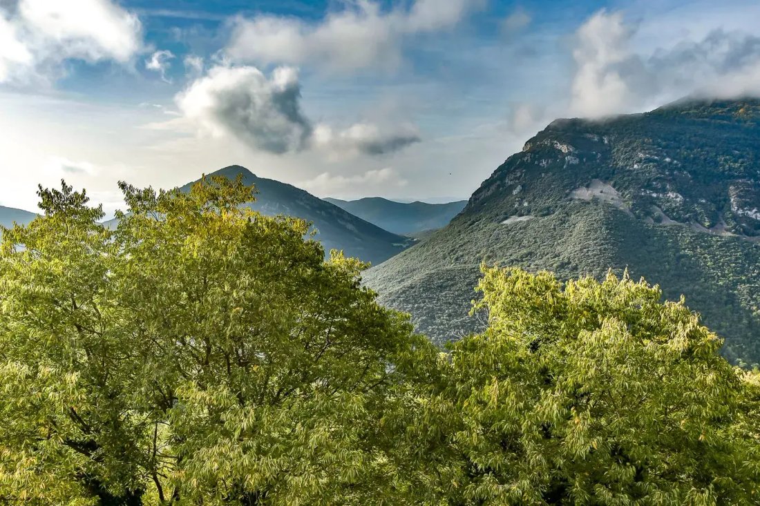 Finca in Montagut i Oix, Catalonia, Spain 5 - 18301044