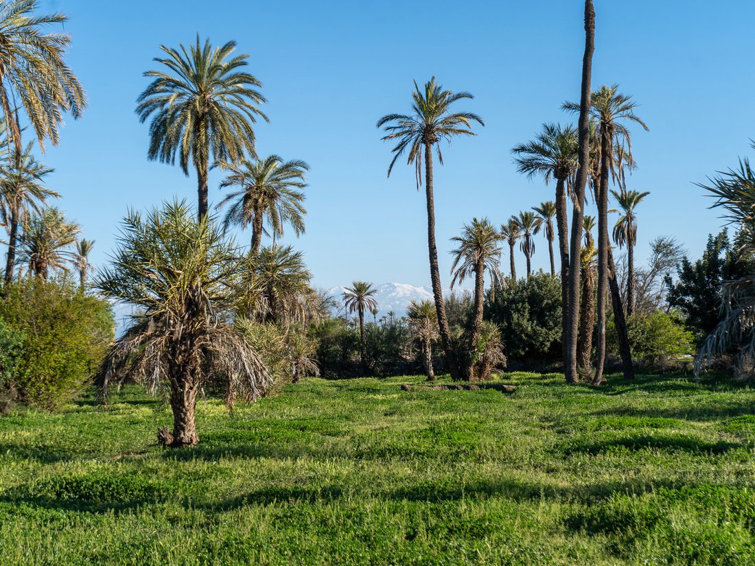 Land in Medina, Marrakesh-Safi, Morocco 3 - 18298956