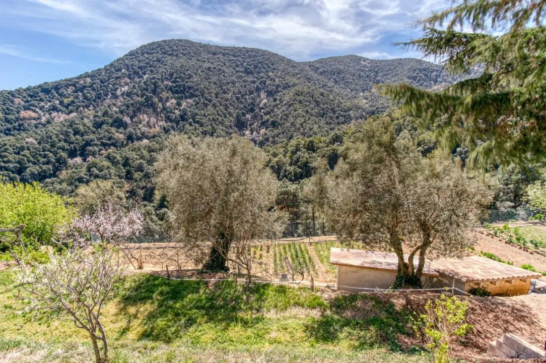 Finca in Tordera, Catalonia, Spain 5 - 18301916