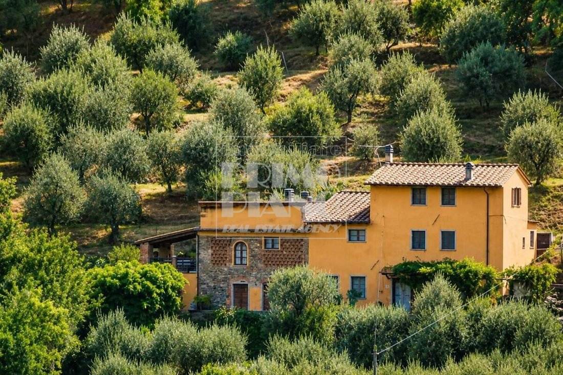 Country House in Historic Center, Lucca, Tuscany 1 - 15828869