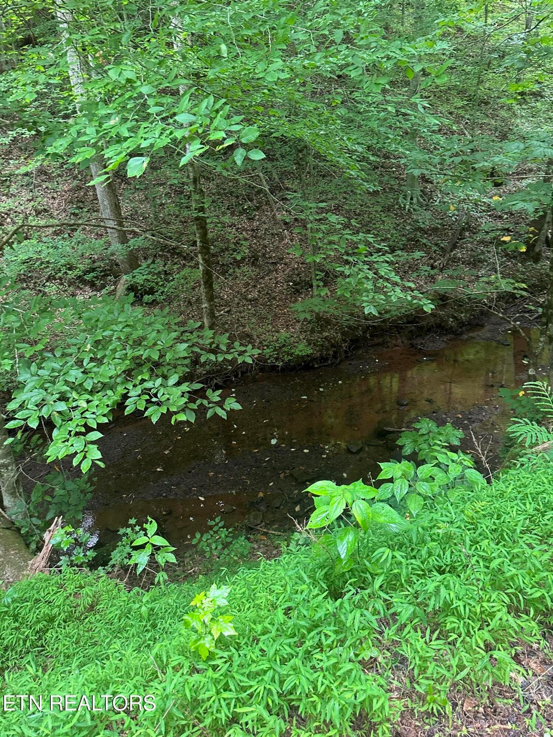 Land in Etowah, Tennessee, United States 4 - 18300267