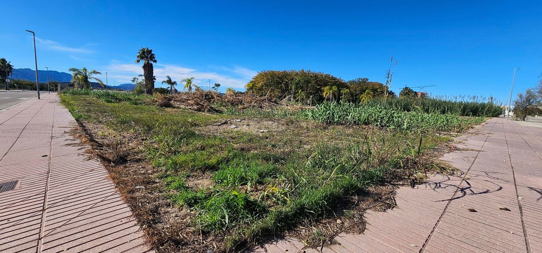 Land in Piles, Valencian Community, Spain 5 - 16788731