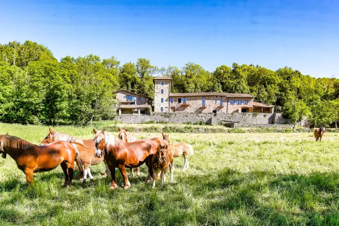 Finca in Camprodon, Catalonia, Spain 2 - 18301666