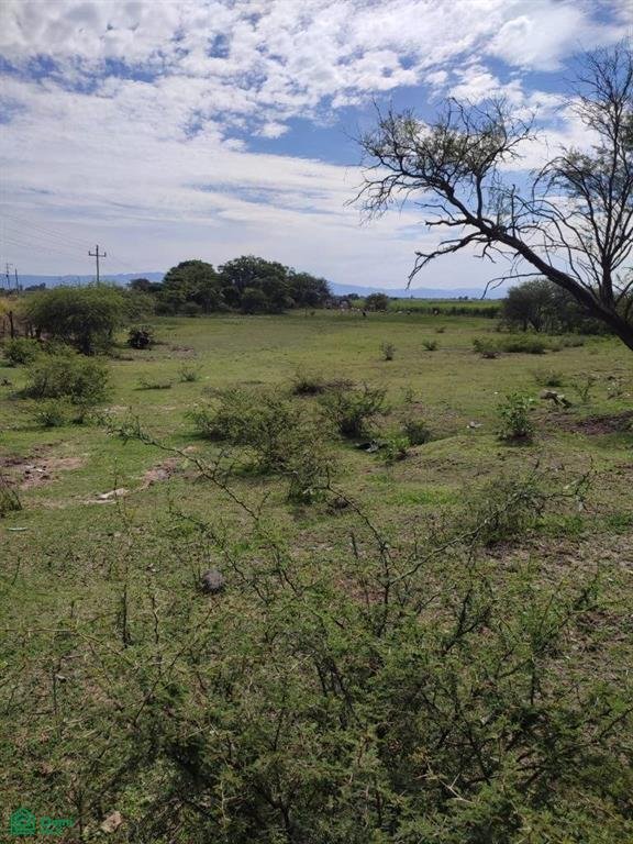 Land in Buenavista de Cañedo, Jalisco, Mexico 1 - 17814525