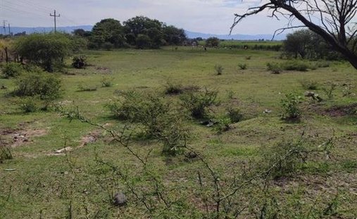 Land in Buenavista de Cañedo, Jalisco, Mexico 1