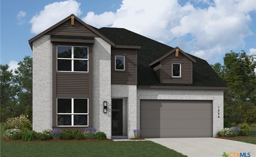 House in Leander, Texas, United States 1