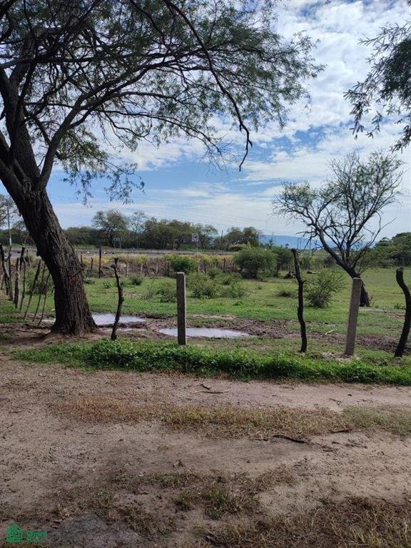Land in Buenavista de Cañedo, Jalisco, Mexico 3 - 17814525