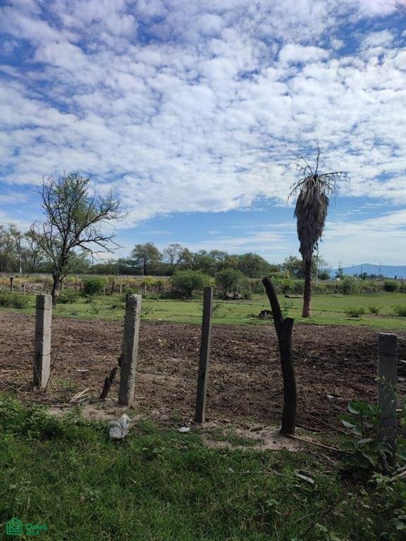 Land in Buenavista de Cañedo, Jalisco, Mexico 5 - 17814525