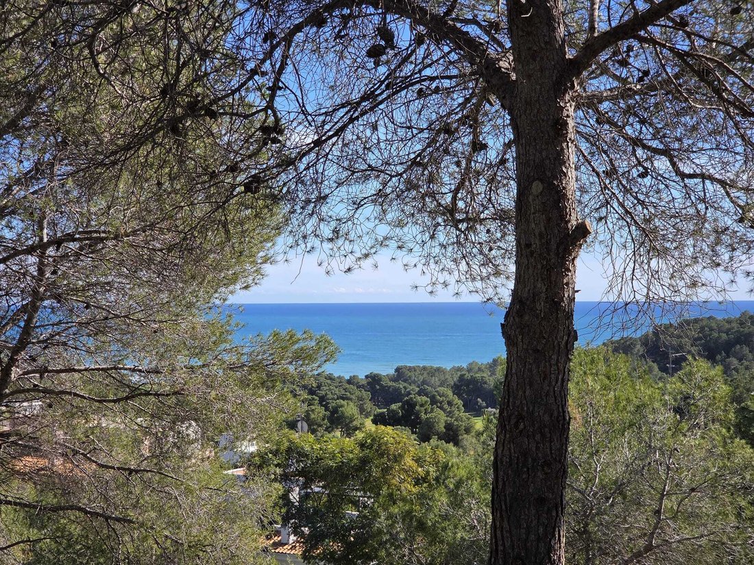 Land in Sitges, Catalonia, Spain 1 - 18299836