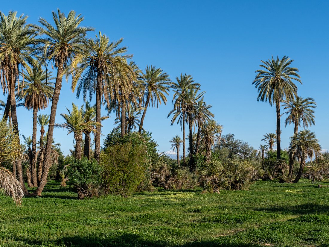 Land in Medina, Marrakesh-Safi, Morocco 1 - 18298956