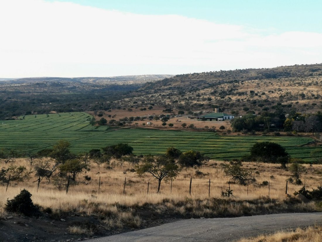 Farm Ranch in Leevdrift, Eastern Cape, South Africa 2 - 18297973