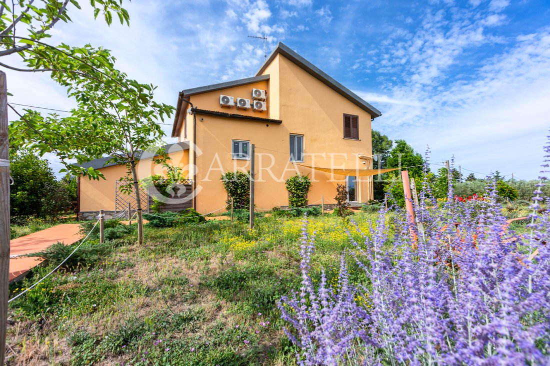 Country House in Grosseto, Tuscany, Italy 2 - 18300269