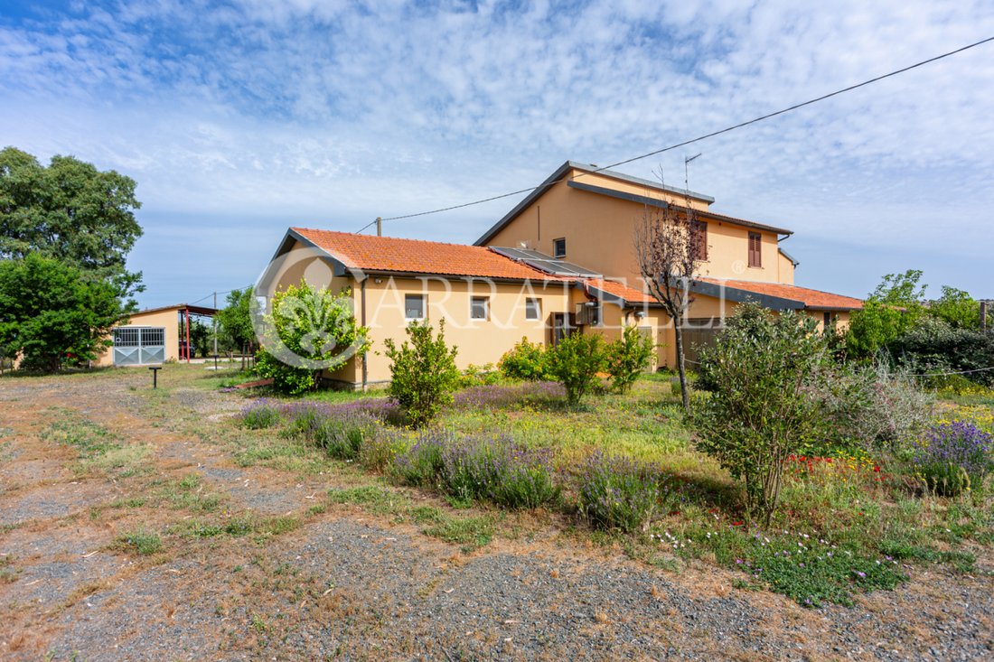 Country House in Grosseto, Tuscany, Italy 4 - 18300269
