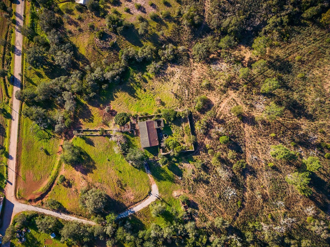 Country House in Sao Bras de Alportel, Algarve, Portugal 2 - 18302669