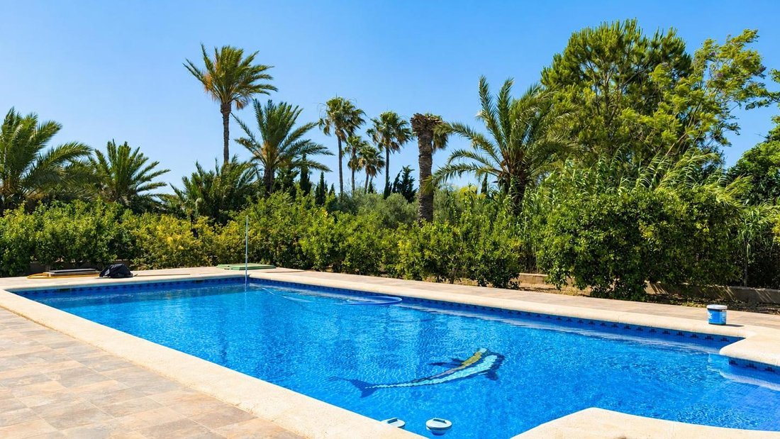Villa a Elx, Comunità Valenzana, Spagna 2 - 18297934