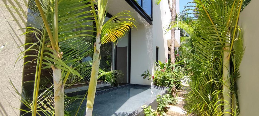 House in Playa del Carmen, Quintana Roo, Mexico 4 - 18299287