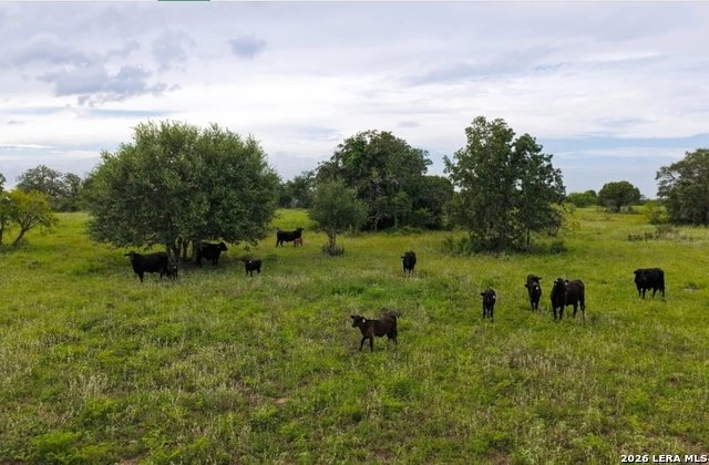 Farm Ranch in Shiner, Texas, United States 5 - 18302138