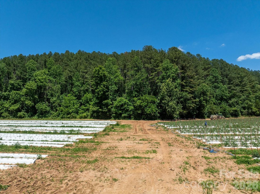 Land in Rutherfordton, North Carolina, United States 5 - 18300192