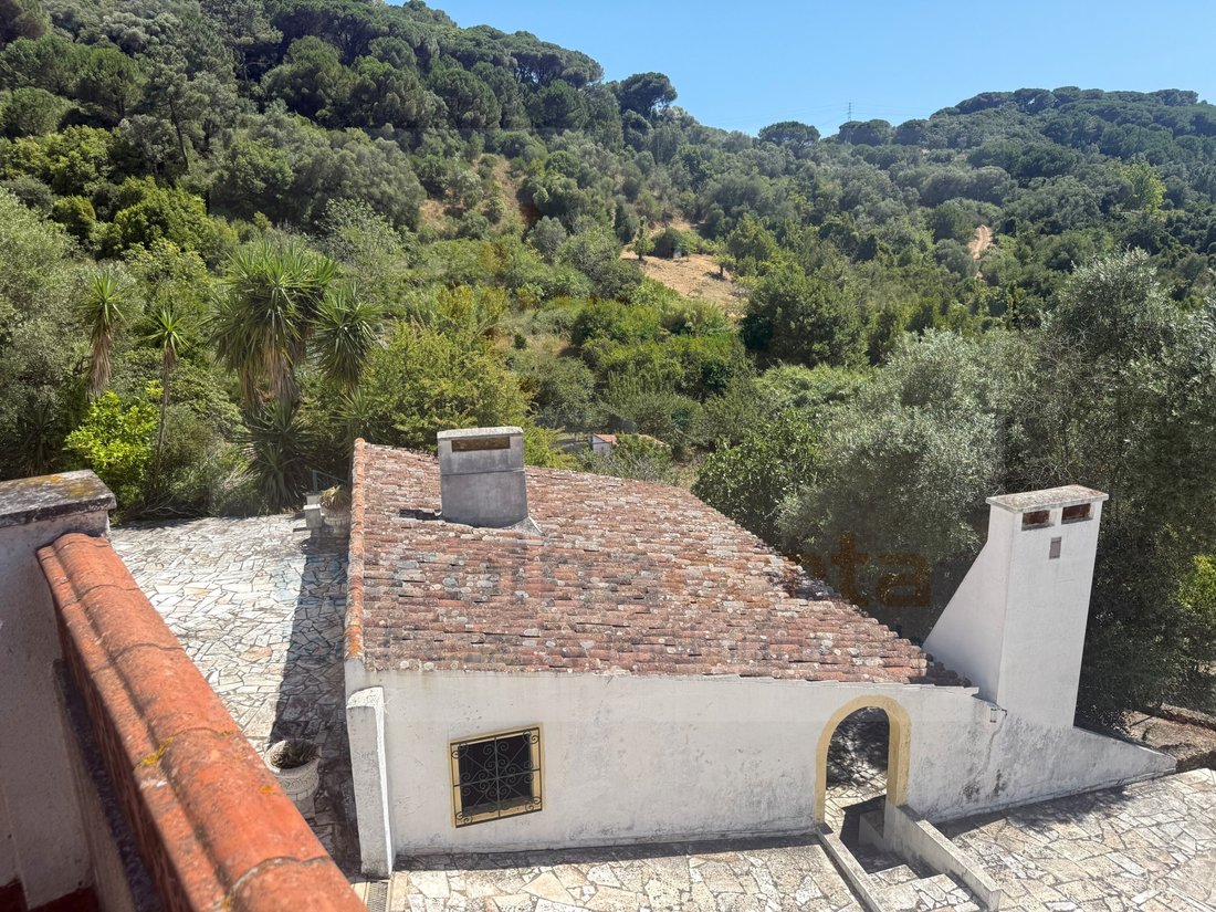Finca in Quinta do Anjo, Setubal, Portugal 5 - 18302729
