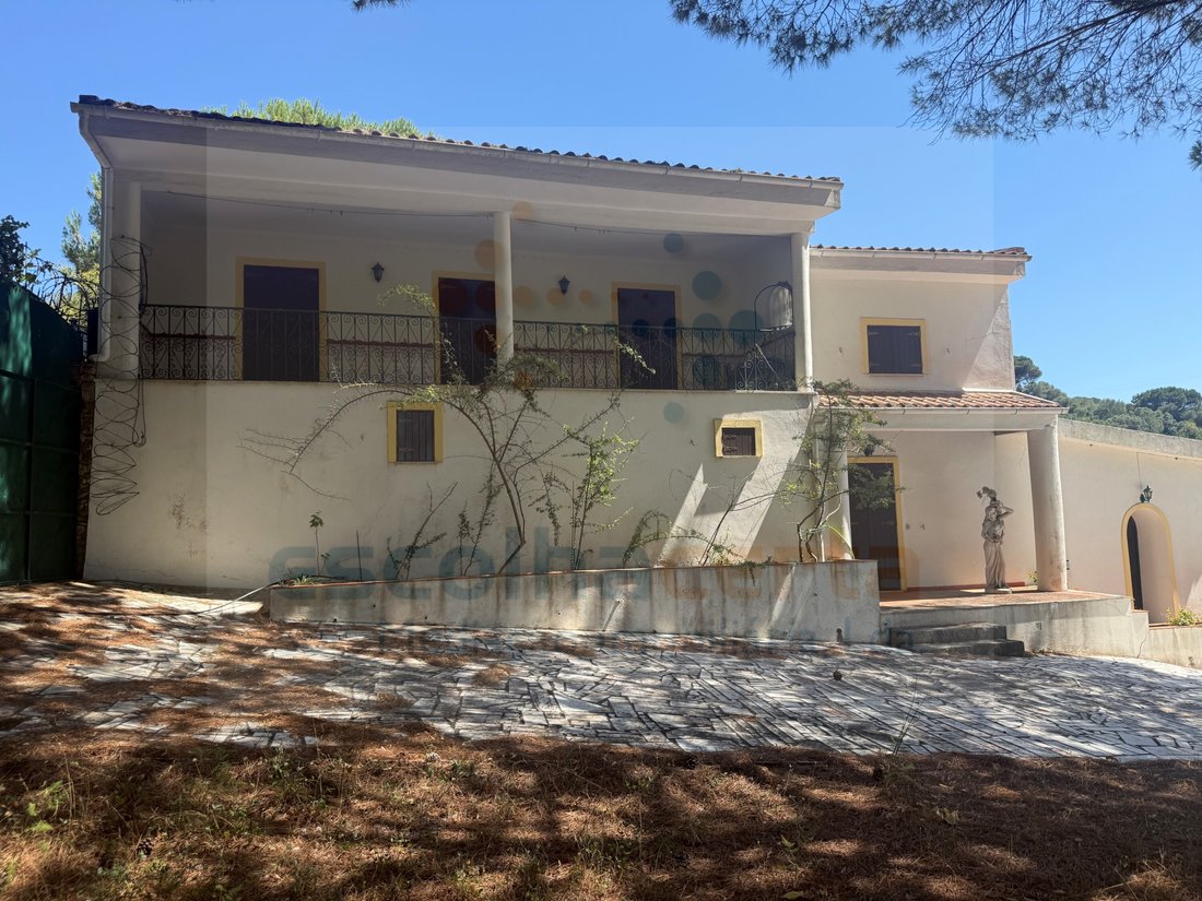Finca in Quinta do Anjo, Setubal, Portugal 2 - 18302729