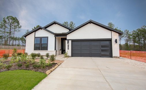 House in Montgomery, Texas, United States 1