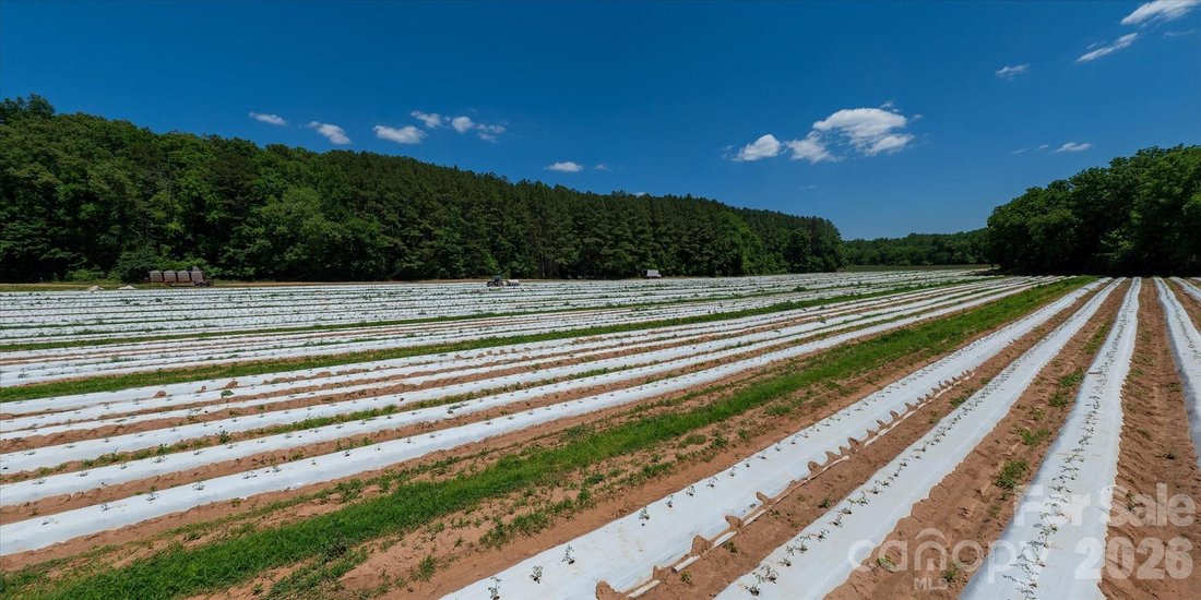 Land in Rutherfordton, North Carolina, United States 4 - 18300192