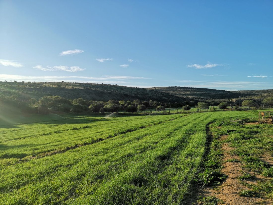 Farm Ranch in Leevdrift, Eastern Cape, South Africa 3 - 18297973