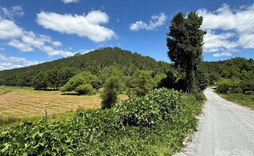 Land in Rutherfordton, North Carolina, United States 1