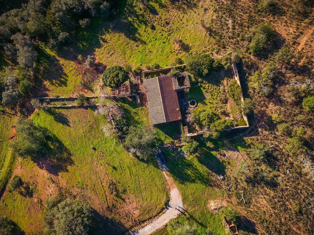 Country House in Sao Bras de Alportel, Algarve, Portugal 3 - 18302669