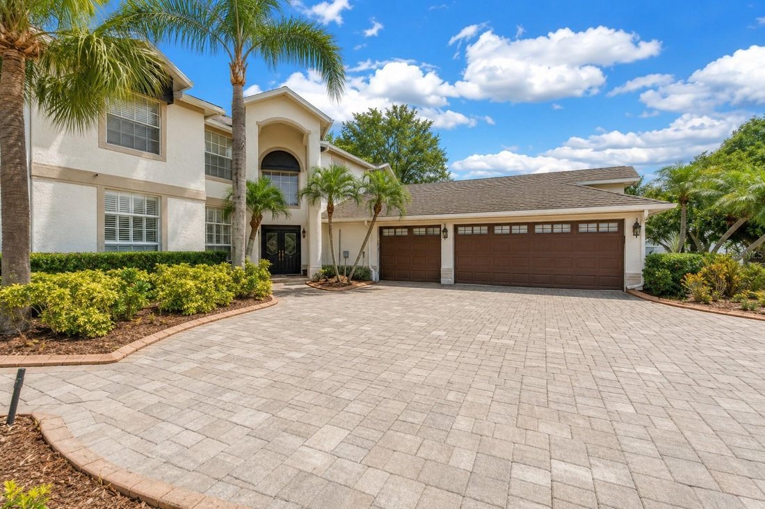 House in Tampa, Florida, United States 3 - 18297971
