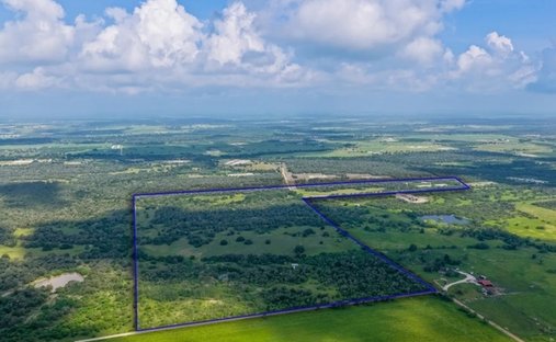 Farm Ranch in Shiner, Texas, United States 1
