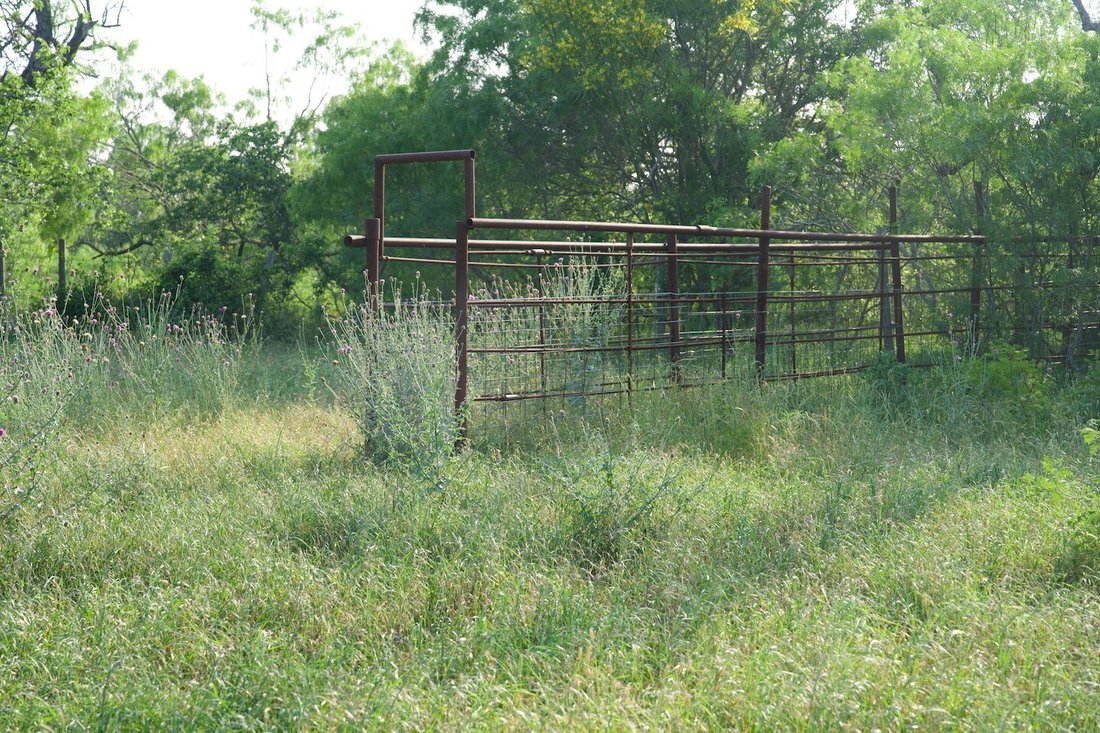 Farm Ranch in Red Rock, Texas, United States 5 - 14631289