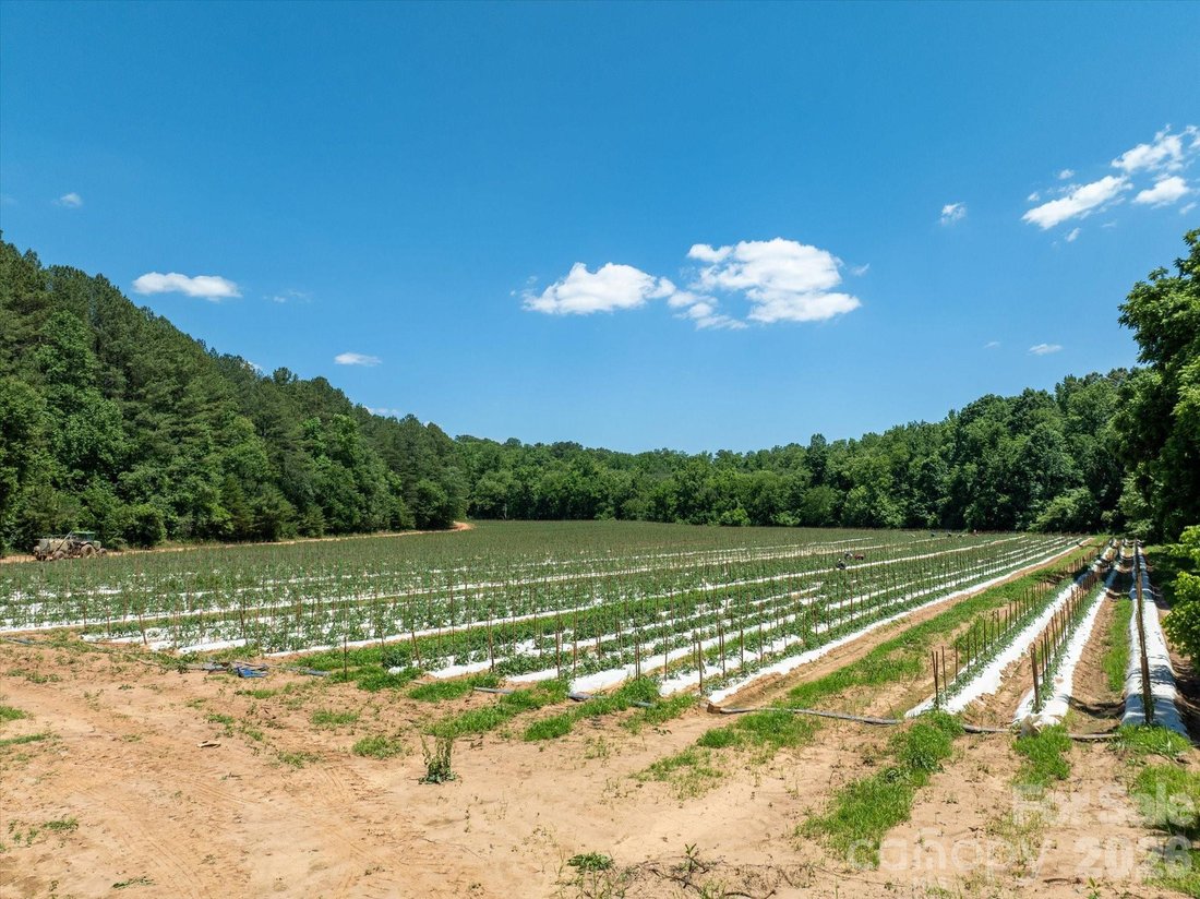 Land in Rutherfordton, North Carolina, United States 2 - 18300192