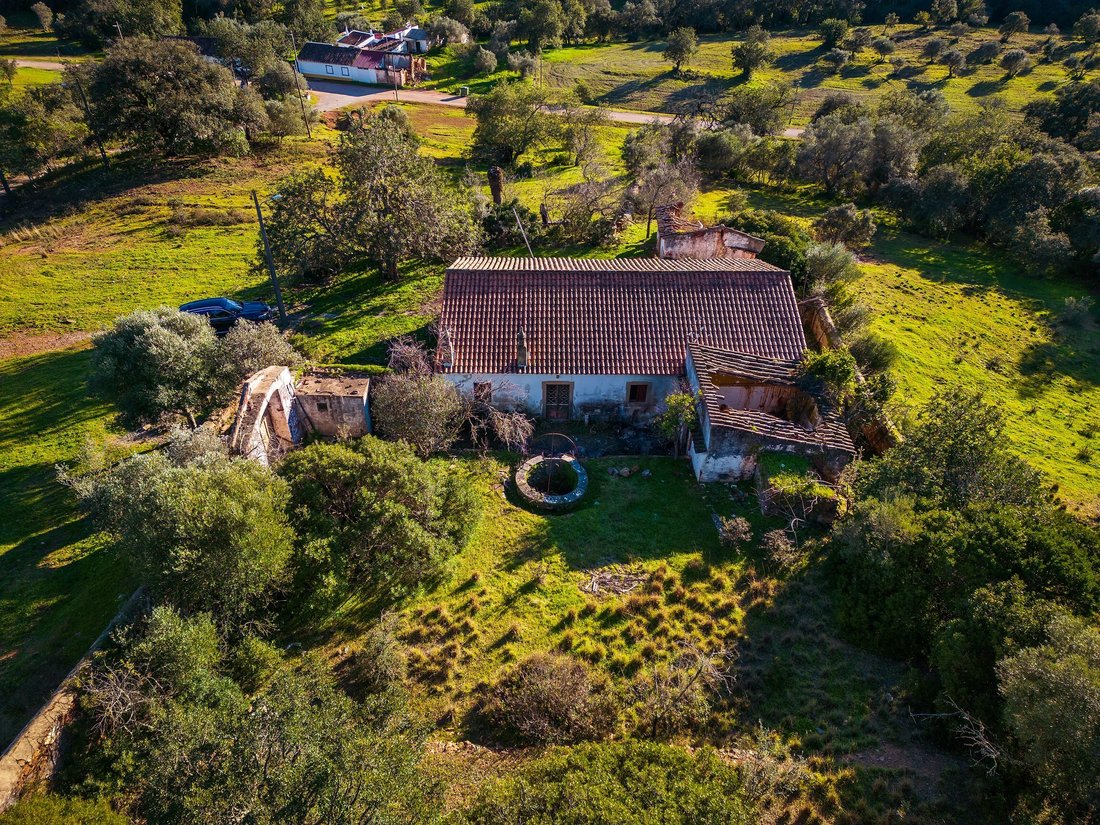 Country House in Sao Bras de Alportel, Algarve, Portugal 1 - 18302669